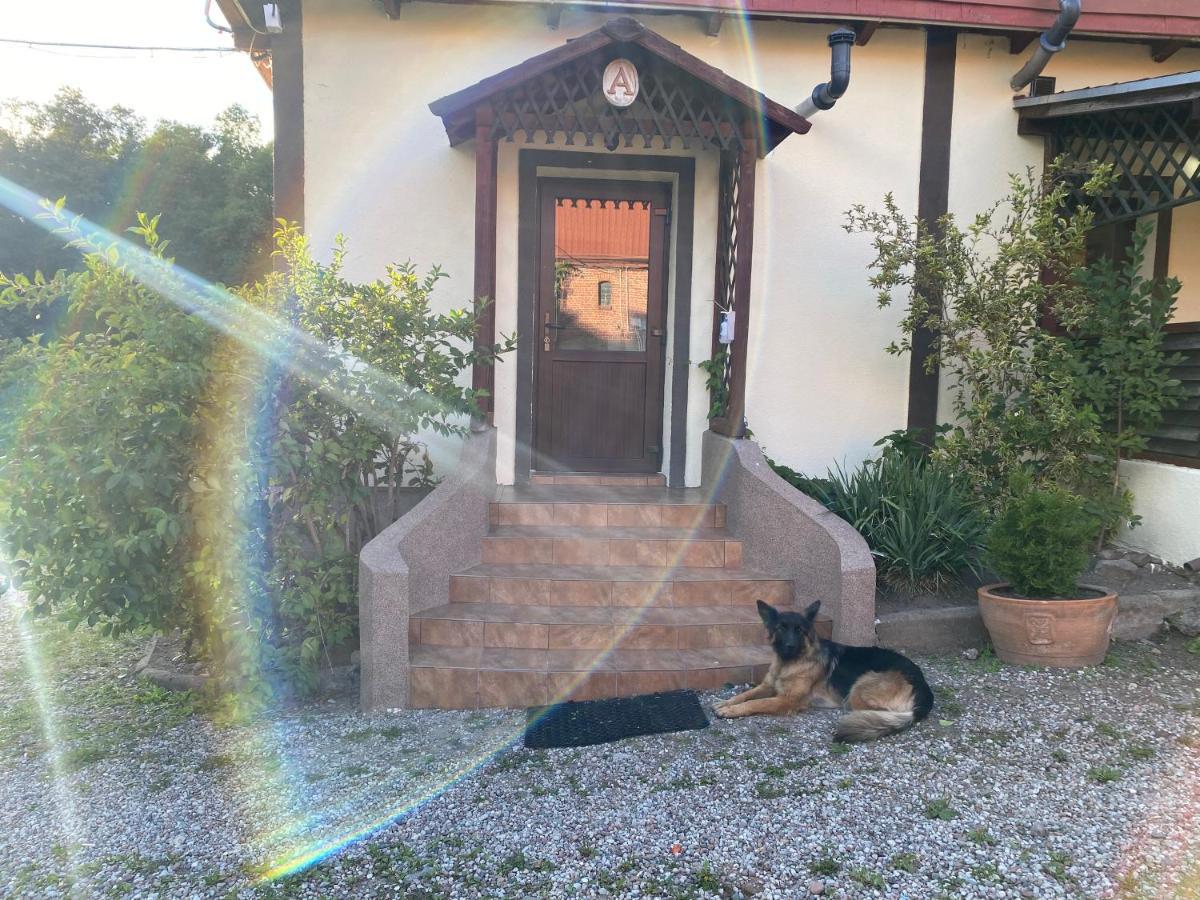 Mlyn Wodny Eko Hillar Villa Rybno  ภายนอก รูปภาพ