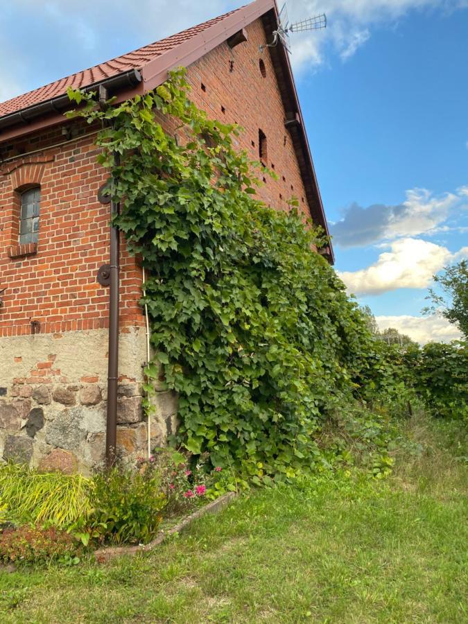 Mlyn Wodny Eko Hillar Villa Rybno  ภายนอก รูปภาพ